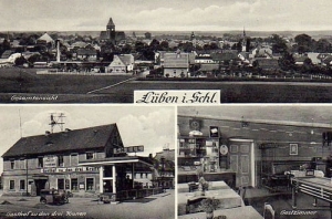 Lubin widokowa - Reprodukcja 16179