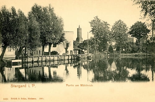 nowe-18343.jpg