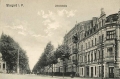 nowe-18365.jpg