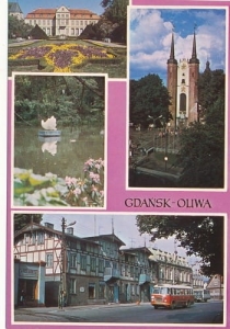 Gdańsk Oliwa widokowa - 05137