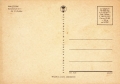 nowe-IMG_0267.jpg