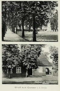 Kunowo widokowa - Reprodukcja 18399