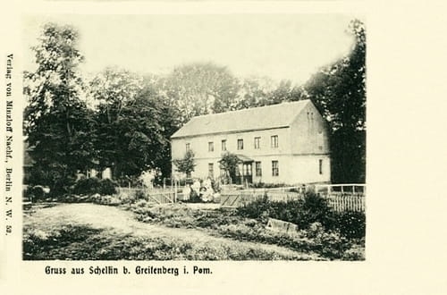 nowe-18403.jpg