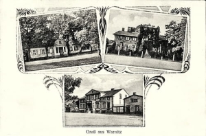 Warnice widokowa - Reprodukcja 18409