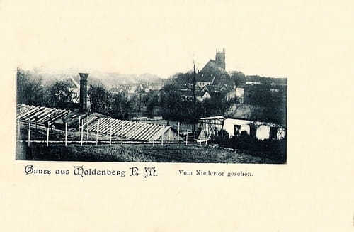 nowe-18456.jpg