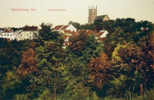 Dobiegniew panorama - Reprodukcja 18458