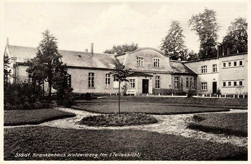 nowe-18464.jpg