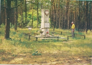Dziekszyn Janowiec Wlkp. - 05976
