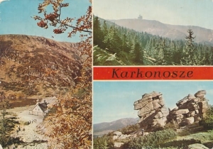 Karkonosze Samotnia - 06012