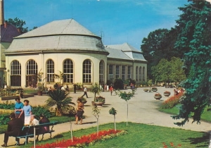 Kudowa Zdrój - 06037