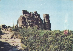 Karkonosze Słonecznik - 06043