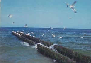 Bałtyk - 06087