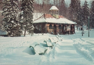 Krynica - 06132