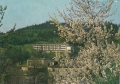nowe-IMG_0008.jpg