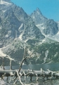 nowe-IMG_0020.jpg