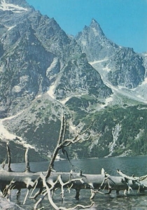 Turnia Mnicha - 06141