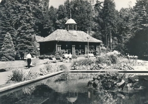 Krynica - 06164