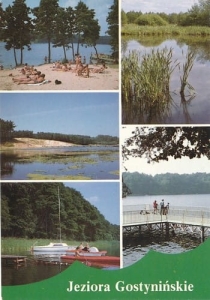 Jeziora Gostynińskie - 06310