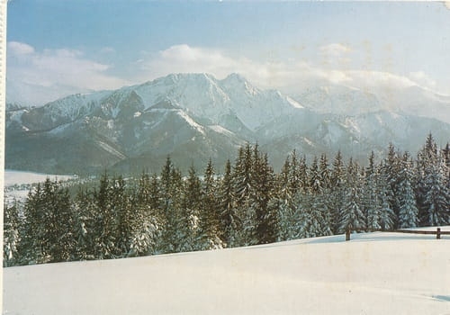 nowe-IMG_0068.jpg