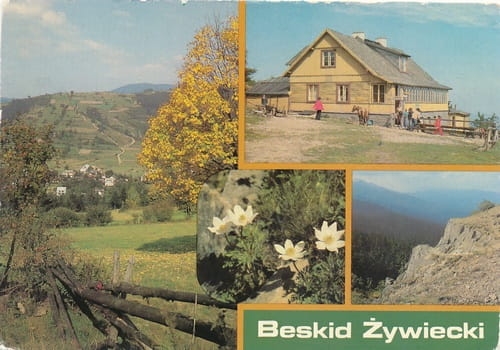 nowe-IMG_0092.jpg