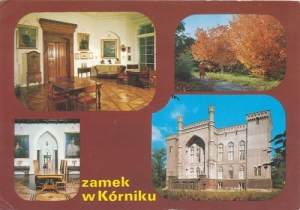 Kórnik widoki widokowa - 06596