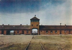 Brzezinka - 06609