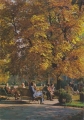 nowe-IMG_0072.jpg