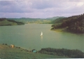nowe-IMG_0088.jpg