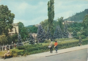 Krynica - 06692