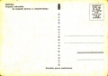 nowe-IMG_0083.jpg