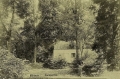 nowe-18494.jpg