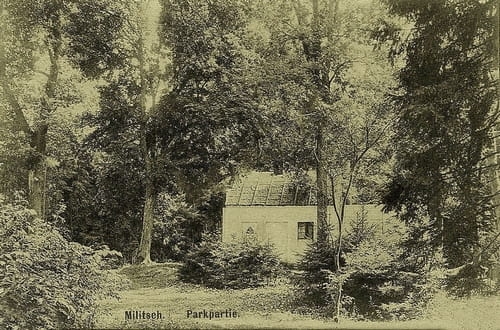 nowe-18494.jpg