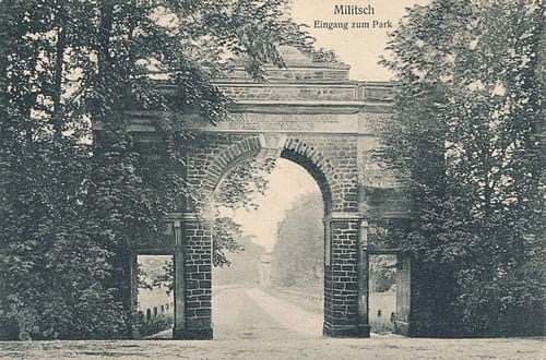 nowe-18498.jpg