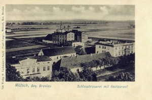 Milicz browar - Reprodukcja 18502