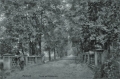nowe-18522.jpg
