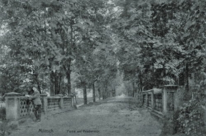 Milicz Friedenstor - Reprodukcja 18522