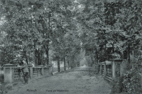 nowe-18522.jpg