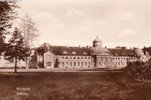 Milicz pałac - Reprodukcja 18525