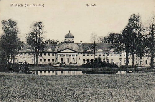 nowe-18530.jpg