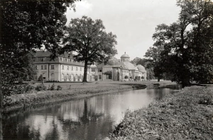 Milicz pałac - Reprodukcja 18531