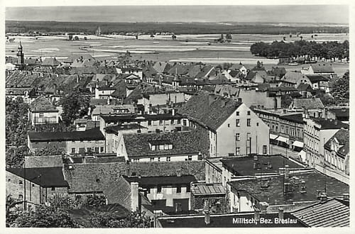 nowe-18534.jpg