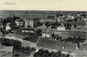Milicz panorama - Reprodukcja 18535