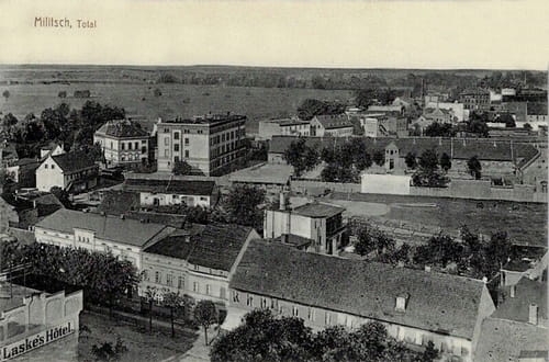 nowe-18535.jpg