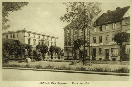 nowe-18539.jpg