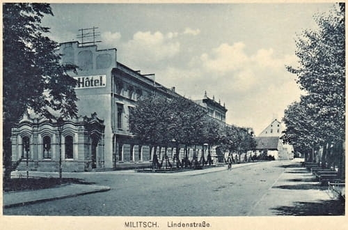 nowe-18549.jpg