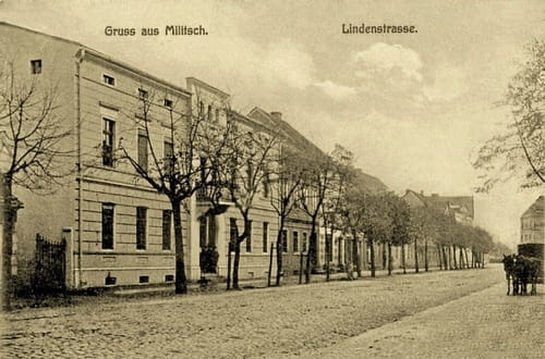 nowe-18550.jpg