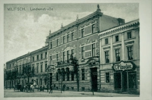 Milicz Lindenstr. - Reprodukcja 18551