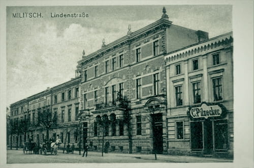 nowe-18551.jpg