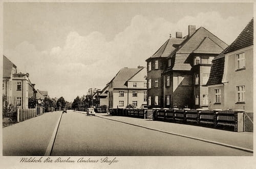 nowe-18556.jpg