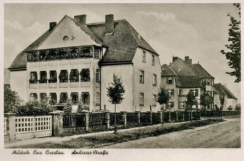 nowe-18557.jpg